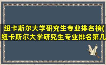 纽卡斯尔大学研究生专业排名榜(纽卡斯尔大学研究生专业排名第几)