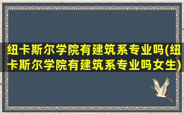 纽卡斯尔学院有建筑系专业吗(纽卡斯尔学院有建筑系专业吗女生)