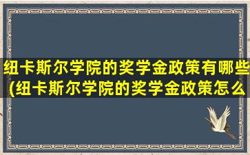 纽卡斯尔学院的奖学金政策有哪些(纽卡斯尔学院的奖学金政策怎么样)