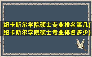 纽卡斯尔学院硕士专业排名第几(纽卡斯尔学院硕士专业排名多少)