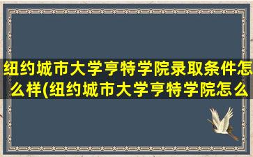 纽约城市大学亨特学院录取条件怎么样(纽约城市大学亨特学院怎么样)