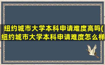 纽约城市大学本科申请难度高吗(纽约城市大学本科申请难度怎么样)