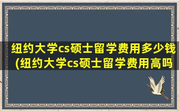 纽约大学cs硕士留学费用多少钱(纽约大学cs硕士留学费用高吗)