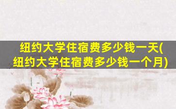 纽约大学住宿费多少钱一天(纽约大学住宿费多少钱一个月)