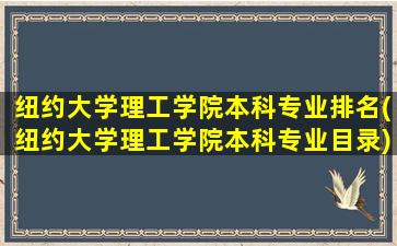 纽约大学理工学院本科专业排名(纽约大学理工学院本科专业目录)