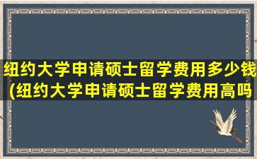 纽约大学申请硕士留学费用多少钱(纽约大学申请硕士留学费用高吗)