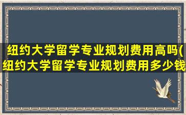 纽约大学留学专业规划费用高吗(纽约大学留学专业规划费用多少钱)