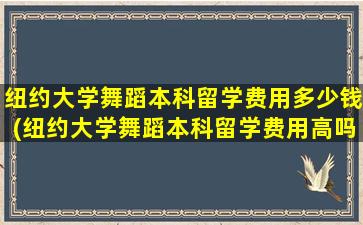 纽约大学舞蹈本科留学费用多少钱(纽约大学舞蹈本科留学费用高吗)