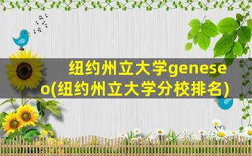 纽约州立大学geneseo(纽约州立大学分校排名)