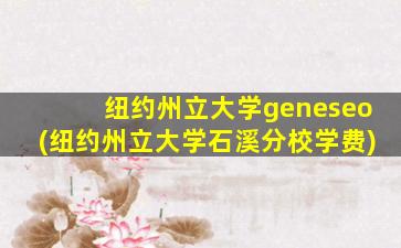 纽约州立大学geneseo(纽约州立大学石溪分校学费)