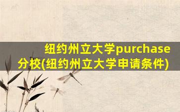 纽约州立大学purchase分校(纽约州立大学申请条件)