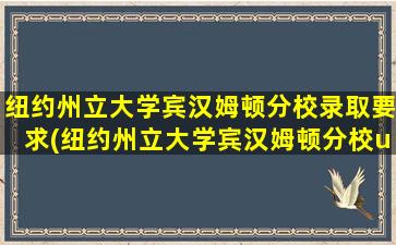 纽约州立大学宾汉姆顿分校录取要求(纽约州立大学宾汉姆顿分校usnews排名)