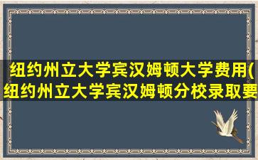 纽约州立大学宾汉姆顿大学费用(纽约州立大学宾汉姆顿分校录取要求)