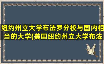 纽约州立大学布法罗分校与国内相当的大学(美国纽约州立大学布法罗分校就读体验)