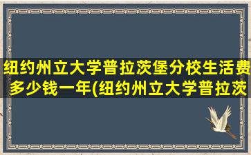 纽约州立大学普拉茨堡分校生活费多少钱一年(纽约州立大学普拉茨堡分校生活费多少钱)