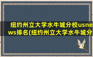 纽约州立大学水牛城分校usnews排名(纽约州立大学水牛城分校相当于中国什么等级的大学-)