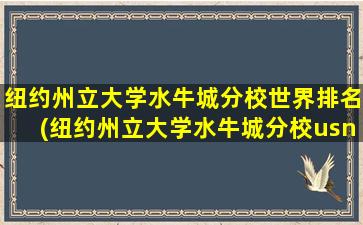 纽约州立大学水牛城分校世界排名(纽约州立大学水牛城分校usnews排名)