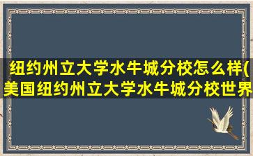 纽约州立大学水牛城分校怎么样(美国纽约州立大学水牛城分校世界排名)