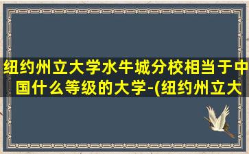 纽约州立大学水牛城分校相当于中国什么等级的大学-(纽约州立大学水牛城分校世界排名)