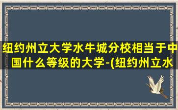 纽约州立大学水牛城分校相当于中国什么等级的大学-(纽约州立水牛城大学学费)