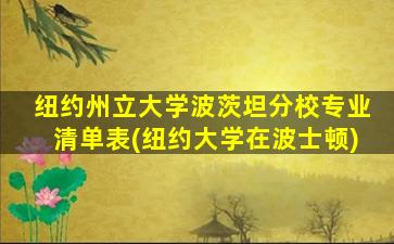 纽约州立大学波茨坦分校专业清单表(纽约大学在波士顿)