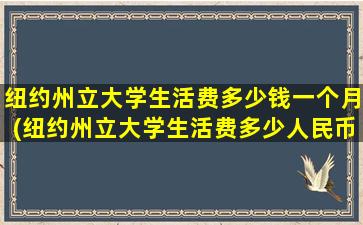 纽约州立大学生活费多少钱一个月(纽约州立大学生活费多少人民币)