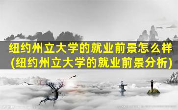 纽约州立大学的就业前景怎么样(纽约州立大学的就业前景分析)