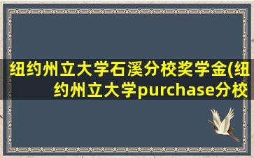 纽约州立大学石溪分校奖学金(纽约州立大学purchase分校)