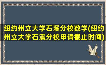 纽约州立大学石溪分校数学(纽约州立大学石溪分校申请截止时间)