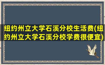 纽约州立大学石溪分校生活费(纽约州立大学石溪分校学费很便宜)