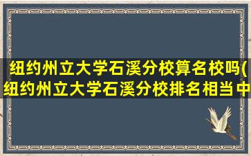 纽约州立大学石溪分校算名校吗(纽约州立大学石溪分校排名相当中国哪所大学)