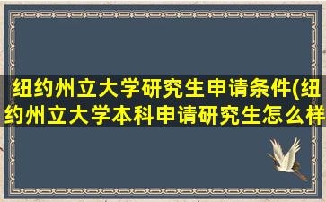 纽约州立大学研究生申请条件(纽约州立大学本科申请研究生怎么样)