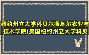 纽约州立大学科贝尔斯基尔农业与技术学院(美国纽约州立大学科贝尔斯基尔学院)