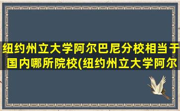 纽约州立大学阿尔巴尼分校相当于国内哪所院校(纽约州立大学阿尔伯尼分校)