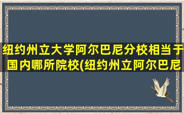 纽约州立大学阿尔巴尼分校相当于国内哪所院校(纽约州立阿尔巴尼亚大学)