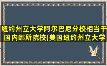 纽约州立大学阿尔巴尼分校相当于国内哪所院校(美国纽约州立大学阿尔巴尼分校世界排名)