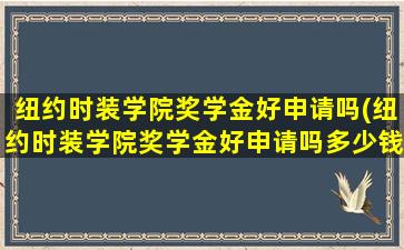 纽约时装学院奖学金好申请吗(纽约时装学院奖学金好申请吗多少钱)