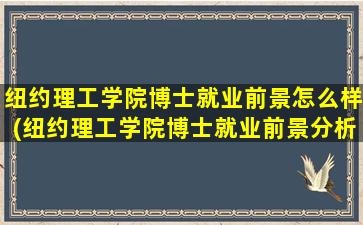 纽约理工学院博士就业前景怎么样(纽约理工学院博士就业前景分析)