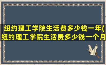 纽约理工学院生活费多少钱一年(纽约理工学院生活费多少钱一个月)