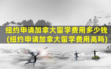 纽约申请加拿大留学费用多少钱(纽约申请加拿大留学费用高吗)