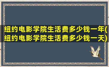 纽约电影学院生活费多少钱一年(纽约电影学院生活费多少钱一天)