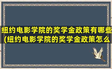 纽约电影学院的奖学金政策有哪些(纽约电影学院的奖学金政策怎么样)