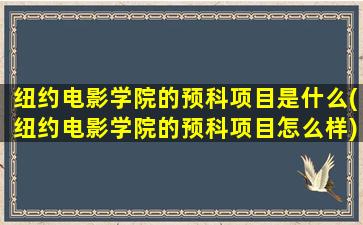 纽约电影学院的预科项目是什么(纽约电影学院的预科项目怎么样)