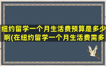 纽约留学一个月生活费预算是多少啊(在纽约留学一个月生活费需多少-)