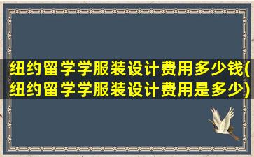 纽约留学学服装设计费用多少钱(纽约留学学服装设计费用是多少)