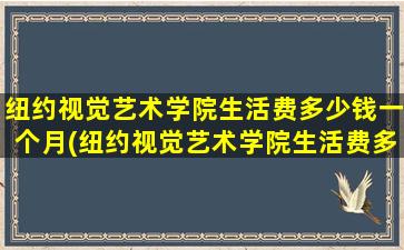 纽约视觉艺术学院生活费多少钱一个月(纽约视觉艺术学院生活费多少钱)