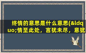 终情的意思是什么意思(“情至此处，言犹未尽，意犹未了，情犹未终。”是什么意思)