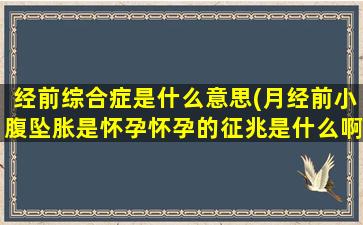 经前综合症是什么意思(月经前小腹坠胀是怀孕怀孕的征兆是什么啊)