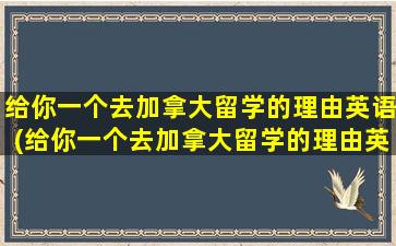 给你一个去加拿大留学的理由英语(给你一个去加拿大留学的理由英语作文)