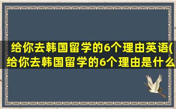 给你去韩国留学的6个理由英语(给你去韩国留学的6个理由是什么)